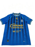 Chivas de Guadalajara 2025-26 Third Away Jersey